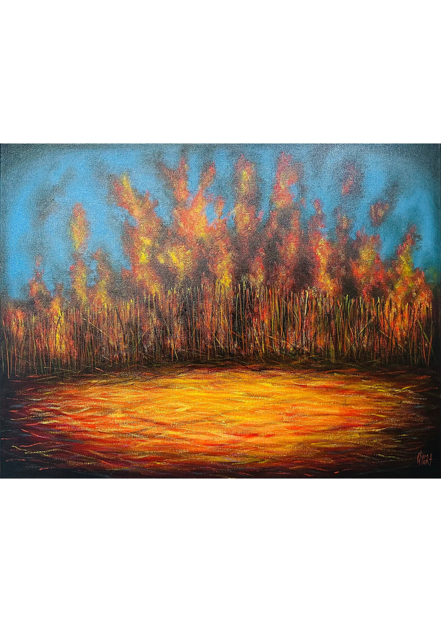 Cane Fire