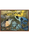 Birds & Butterflies
