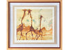 Kenya Giraffes