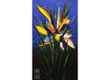Strelitzia Study