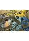 Birds & Butterflies