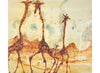 Kenya Giraffes