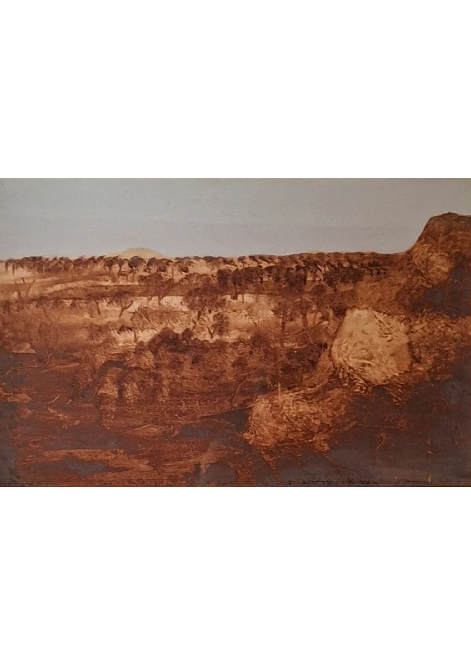 Brown Landscape Cape York