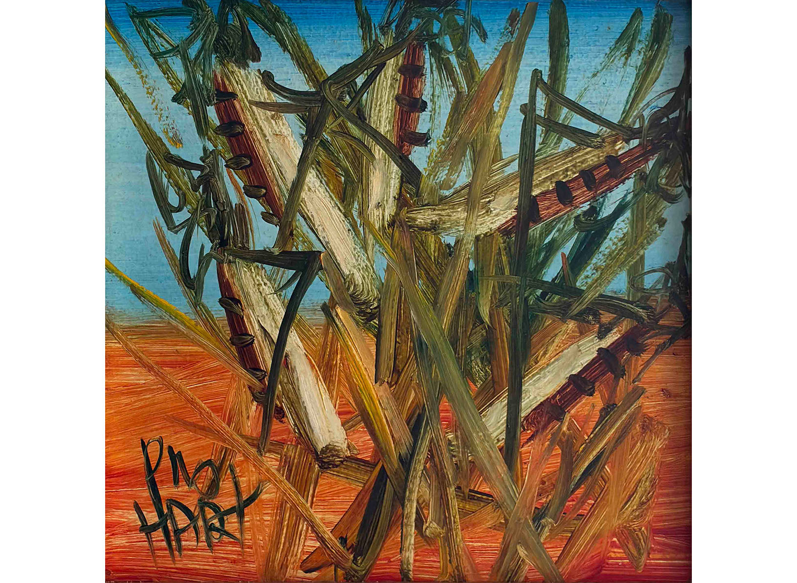 Insects